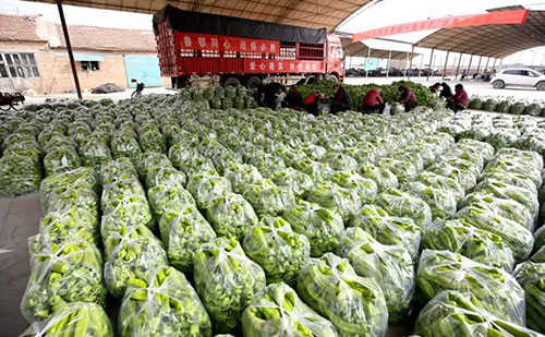 我是湖南長沙蔬菜批發(fā)市場，買多少錢的農(nóng)藥殘留檢測儀合適？