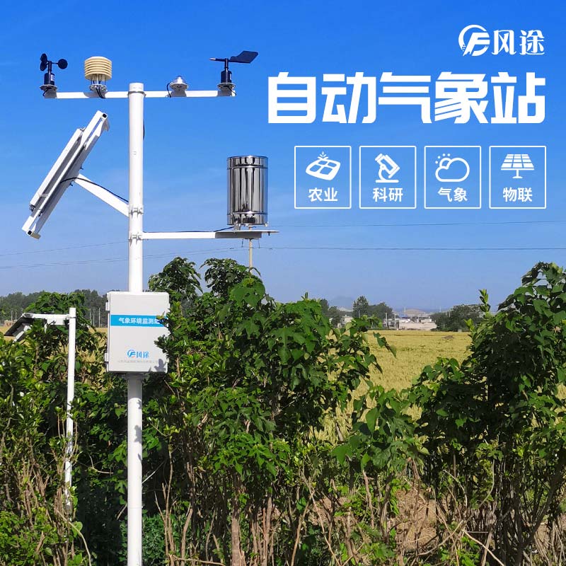 小麥穗期病蟲害如何監(jiān)測(cè)？